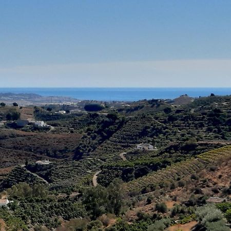 Casa Montana Velez-Malaga B&B Zewnętrze zdjęcie