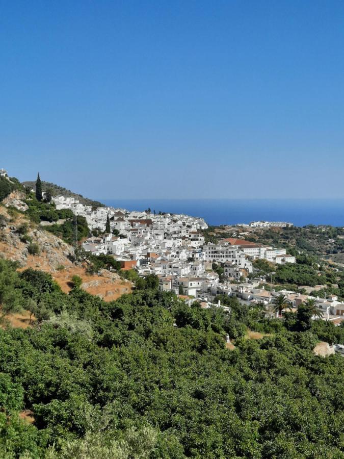 Casa Montana Velez-Malaga B&B Zewnętrze zdjęcie