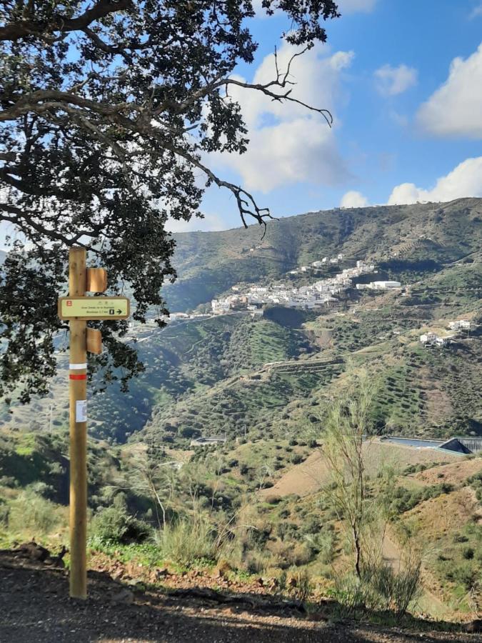 Casa Montana Velez-Malaga B&B Zewnętrze zdjęcie